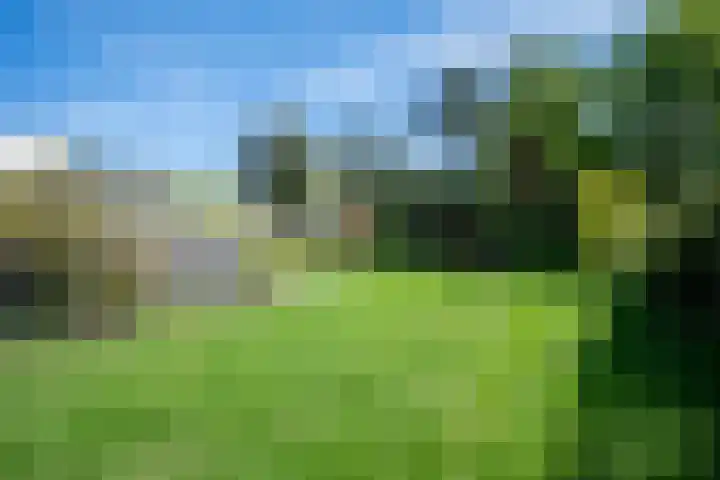Steenkamp 5 Haren Gn thumbnail 47