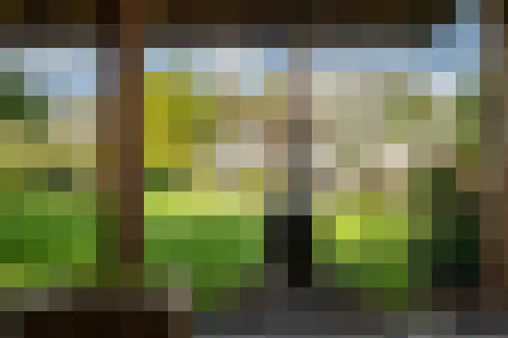Steenkamp 5 Haren Gn thumbnail 50