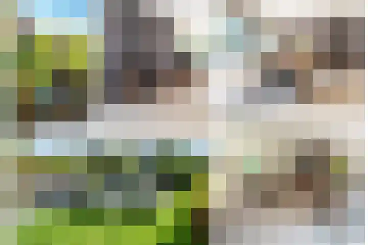 Steenkamp 5 Haren Gn thumbnail 53