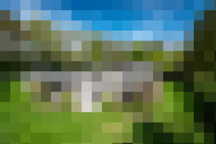 Steenkamp 5 Haren Gn thumbnail 6