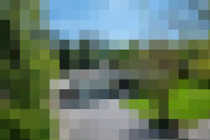 Steenkamp 5 Haren Gn thumbnail 7