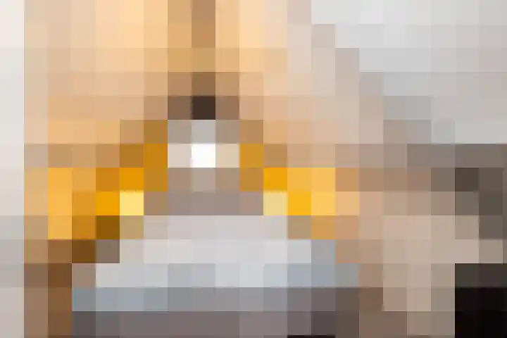 Screenshot van de website van www.steenkuijpers.nl