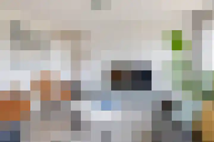 Steenloper 41 Lemmer thumbnail 8