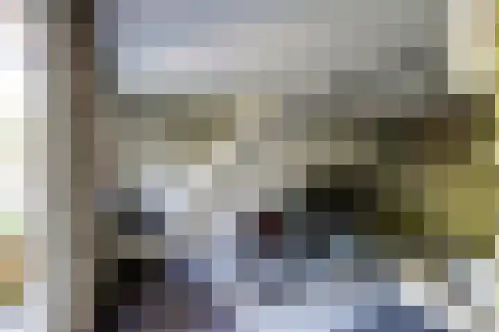 Steenmakersstraat 10 Kerkdriel thumbnail 45