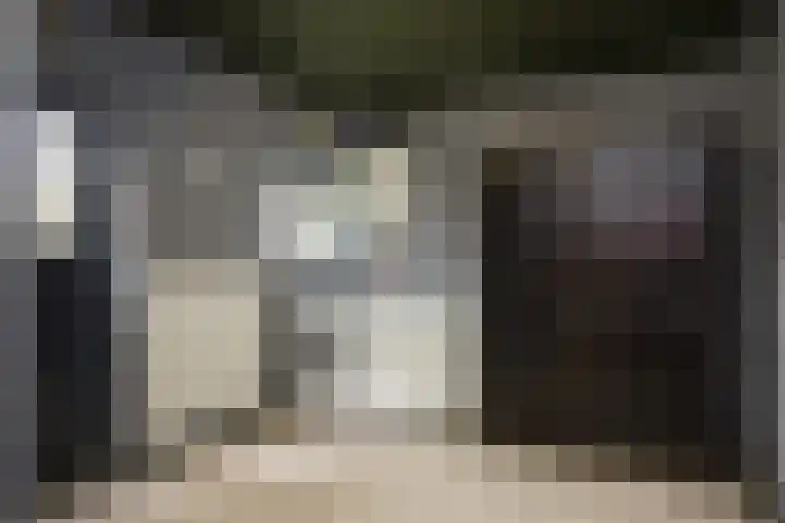 Steenmatenweg 2 Agelo thumbnail 21