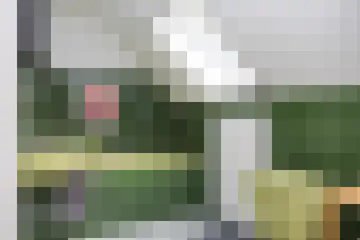 Steenmatenweg 2 Agelo thumbnail 29