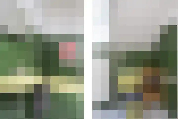 Steenmatenweg 2 Agelo thumbnail 30