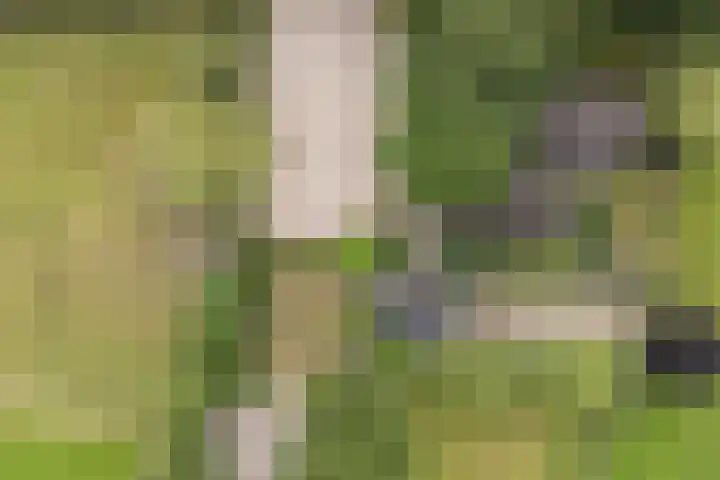 Steenmatenweg 2 Agelo thumbnail 31