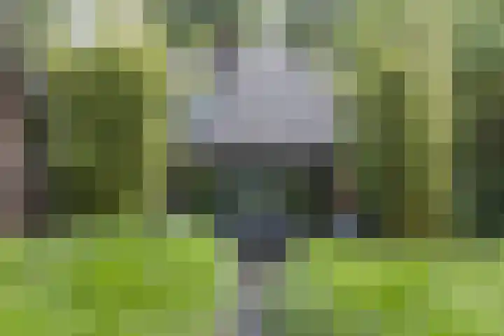 Steenmatenweg 2 Agelo thumbnail 33