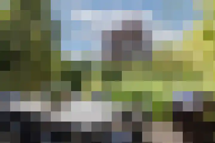 Steenmatenweg 2 Agelo thumbnail 34