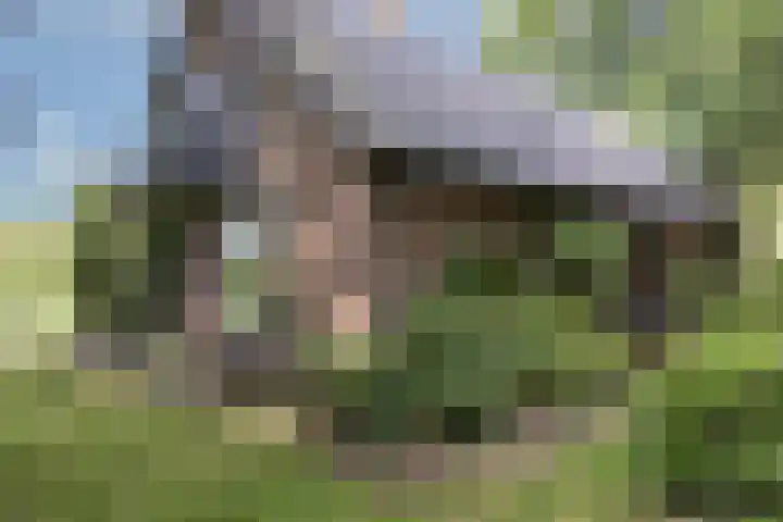 Steenmatenweg 2 Agelo thumbnail 36
