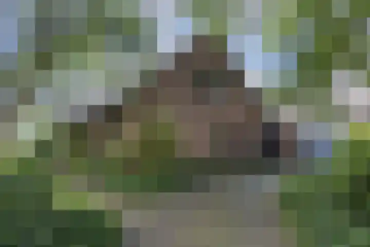 Steenmatenweg 2 Agelo thumbnail 4