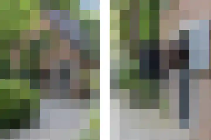 Steenmatenweg 2 Agelo thumbnail 40