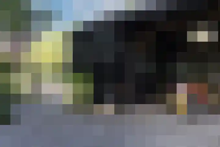 Steenmatenweg 2 Agelo thumbnail 42