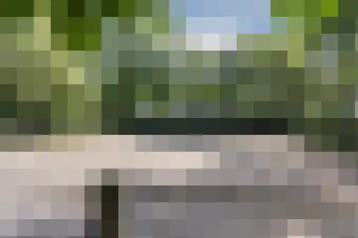 Steenmatenweg 2 Agelo thumbnail 45