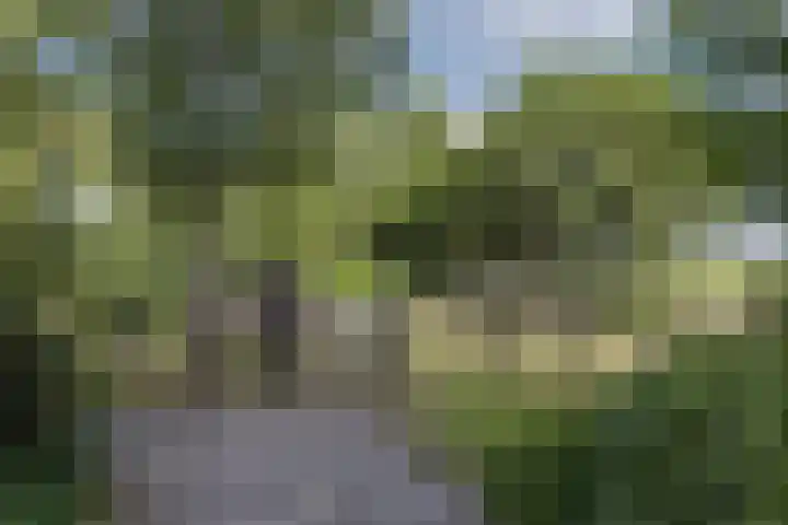 Steenmatenweg 2 Agelo thumbnail 47