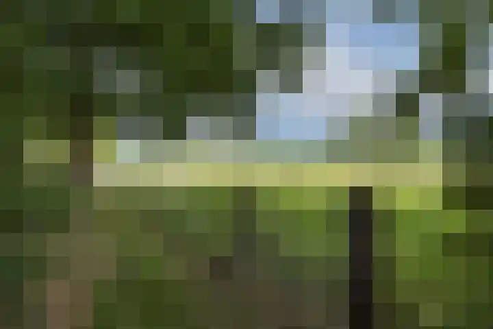 Steenmatenweg 2 Agelo thumbnail 49