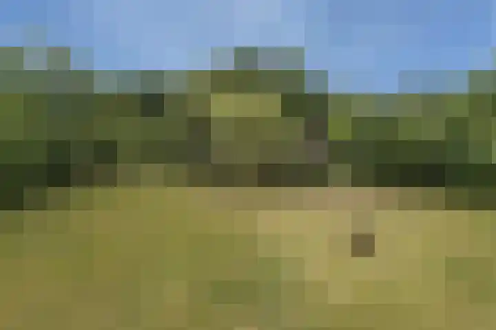 Steenmatenweg 2 Agelo thumbnail 50