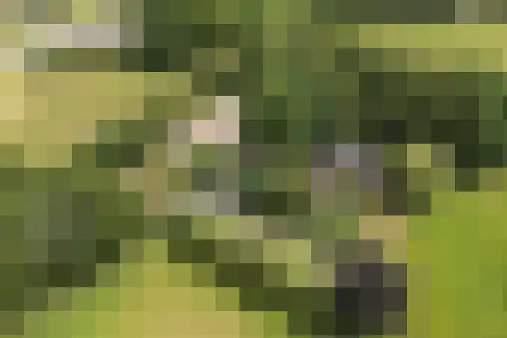 Steenmatenweg 2 Agelo thumbnail 55
