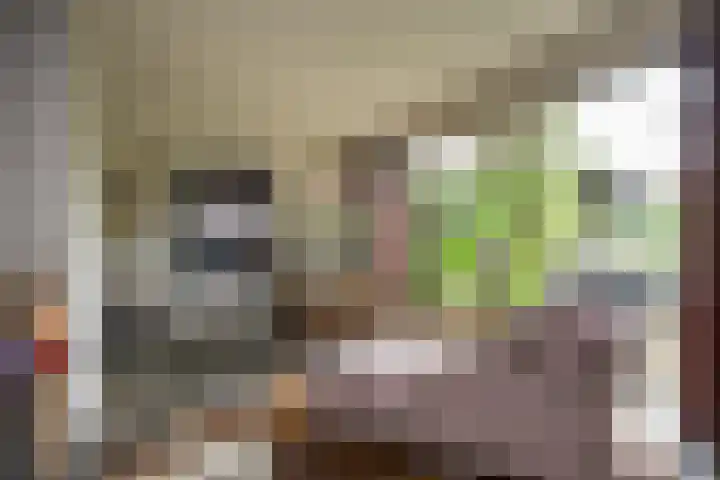 Steenmatenweg 2 Agelo thumbnail 9
