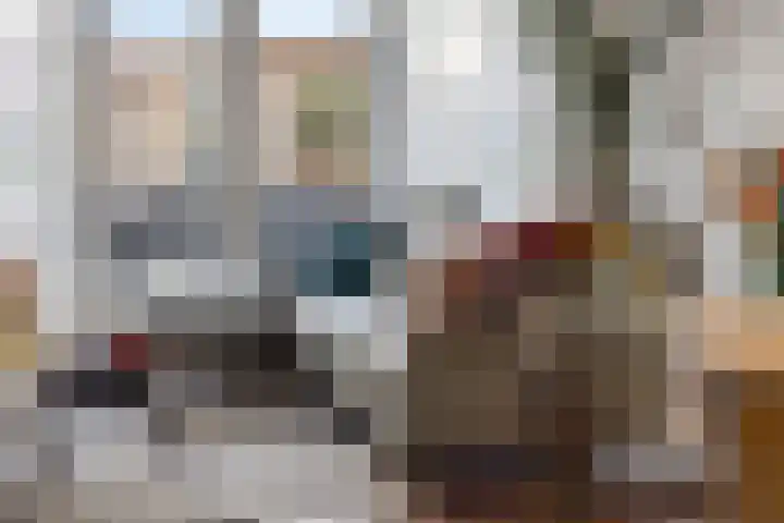 Steenovenweg 21 a Deurne thumbnail 9