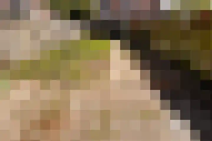 Steenplaat 34 Zeewolde thumbnail 31