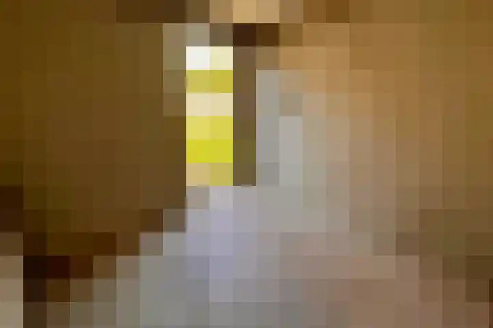 Steenplaat 34 Zeewolde thumbnail 33