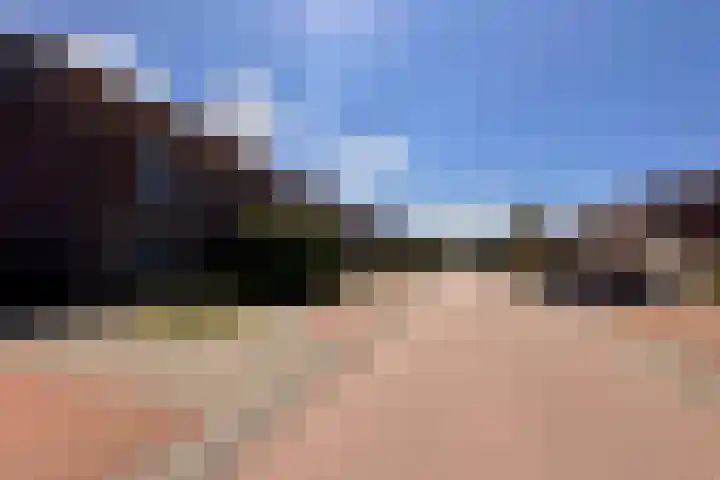Steenplaat 34 Zeewolde thumbnail 37