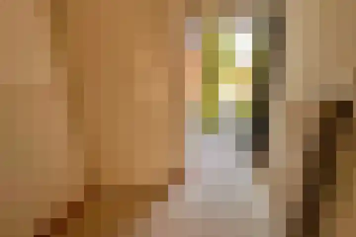 Steenplaat 34 Zeewolde thumbnail 8