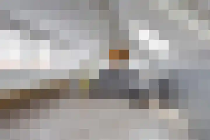 Steenplaat 7 Zeewolde thumbnail 24