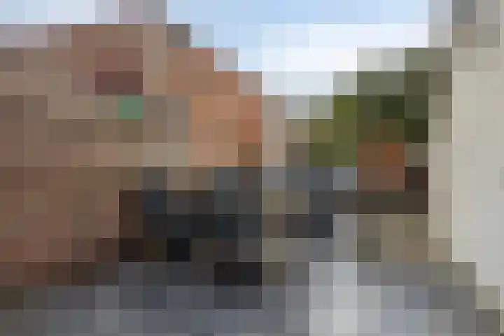 Steensedijk 76 Hulst thumbnail 22
