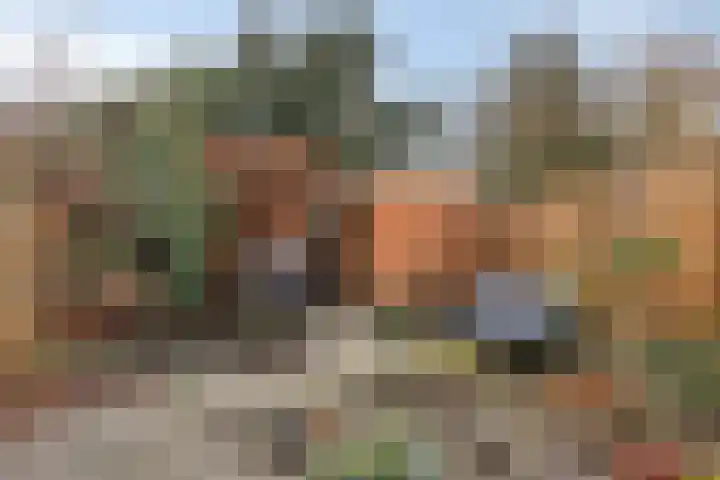 Steensedijk 76 Hulst thumbnail 23