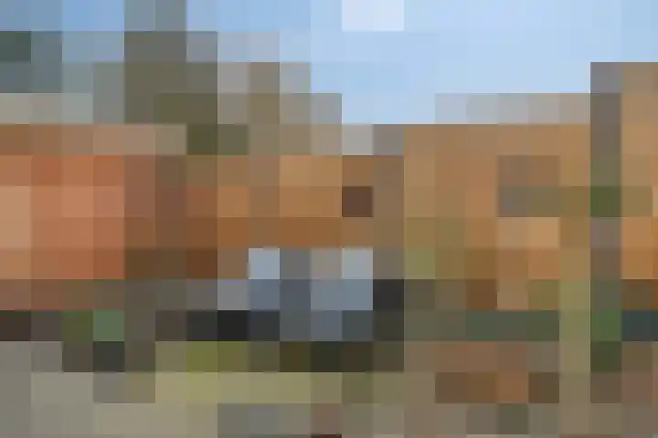 Steensedijk 76 Hulst thumbnail 24