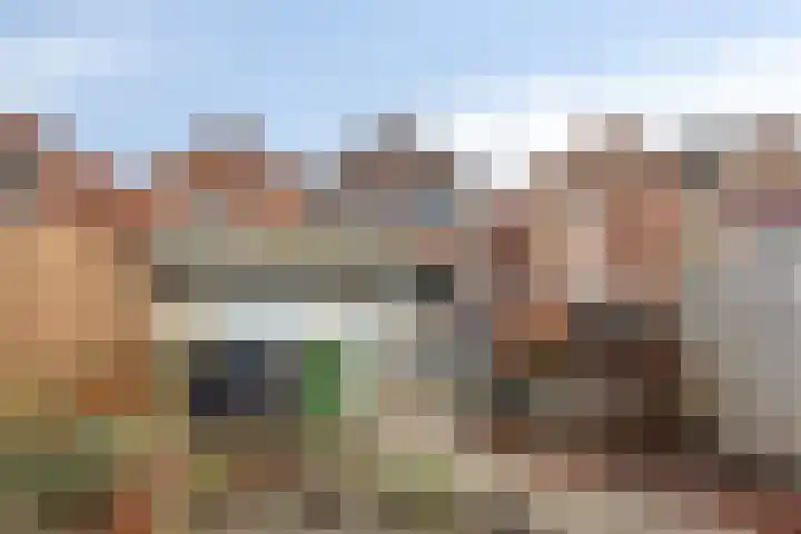 Steensedijk 76 Hulst thumbnail 27