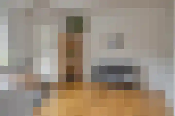 Steensedijk 76 Hulst thumbnail 7
