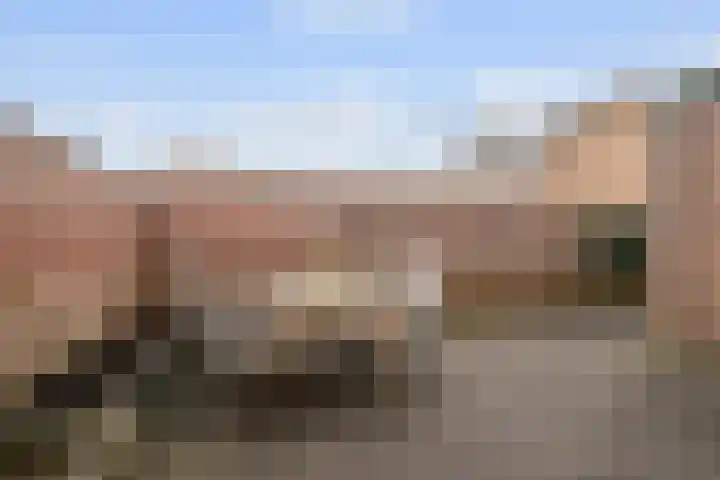 Steenstraat 10 Didam thumbnail 16