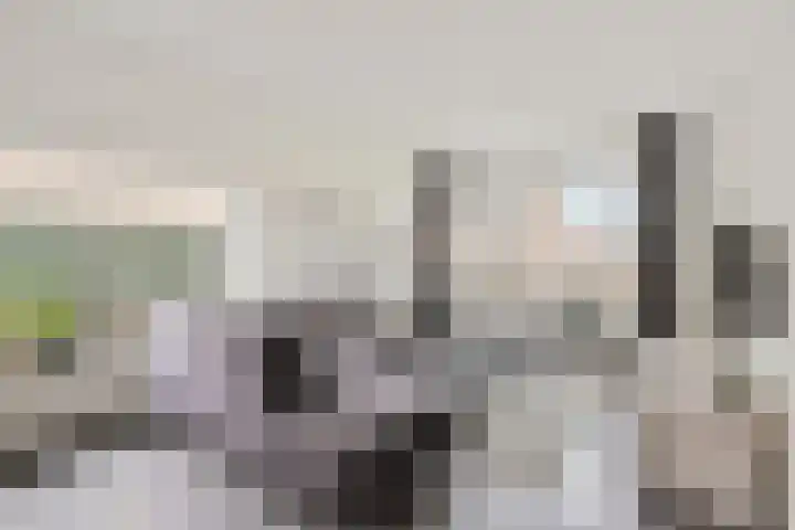 Steenstraat 10 Didam thumbnail 4