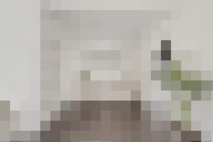 Steenstraat 10 Didam thumbnail 7