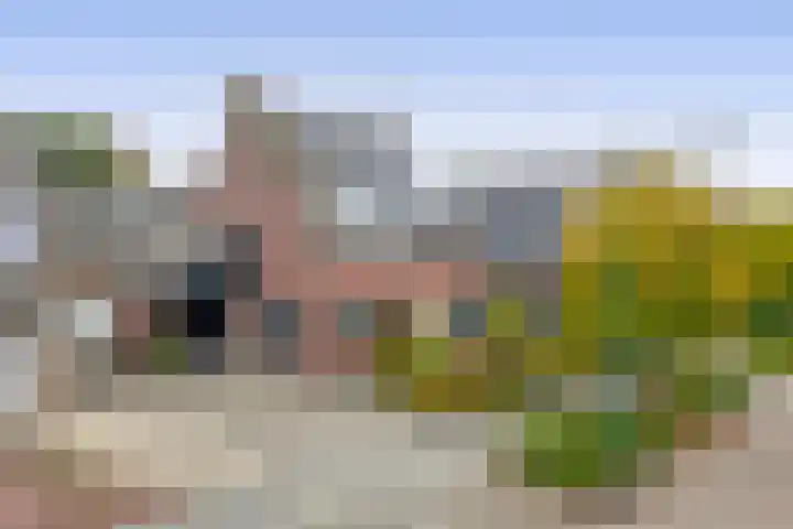Steenstraat 118 Eersel thumbnail 41