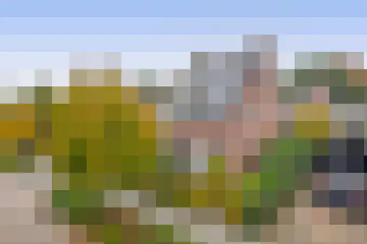 Steenstraat 118 Eersel thumbnail 42