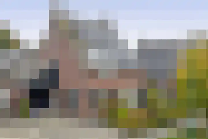 Steenstraat 118 Eersel thumbnail 5