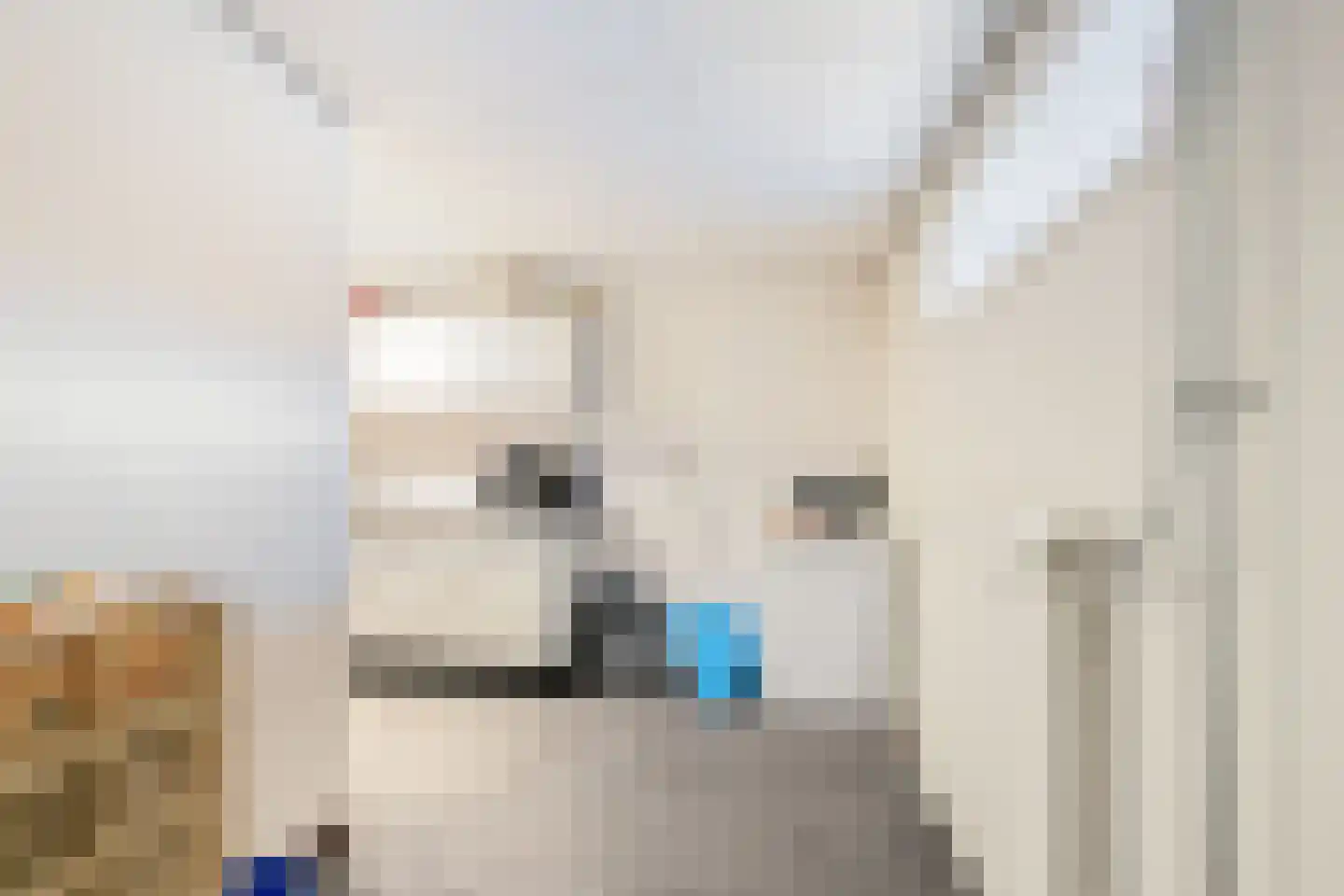 Steenstraat 13 Hulst thumbnail 15