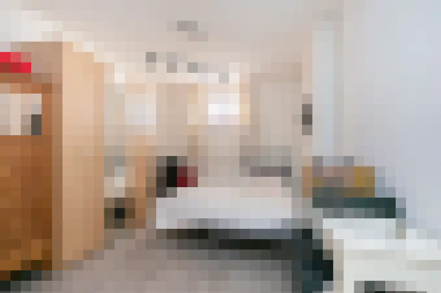 Steenstraat 13 Hulst thumbnail 34