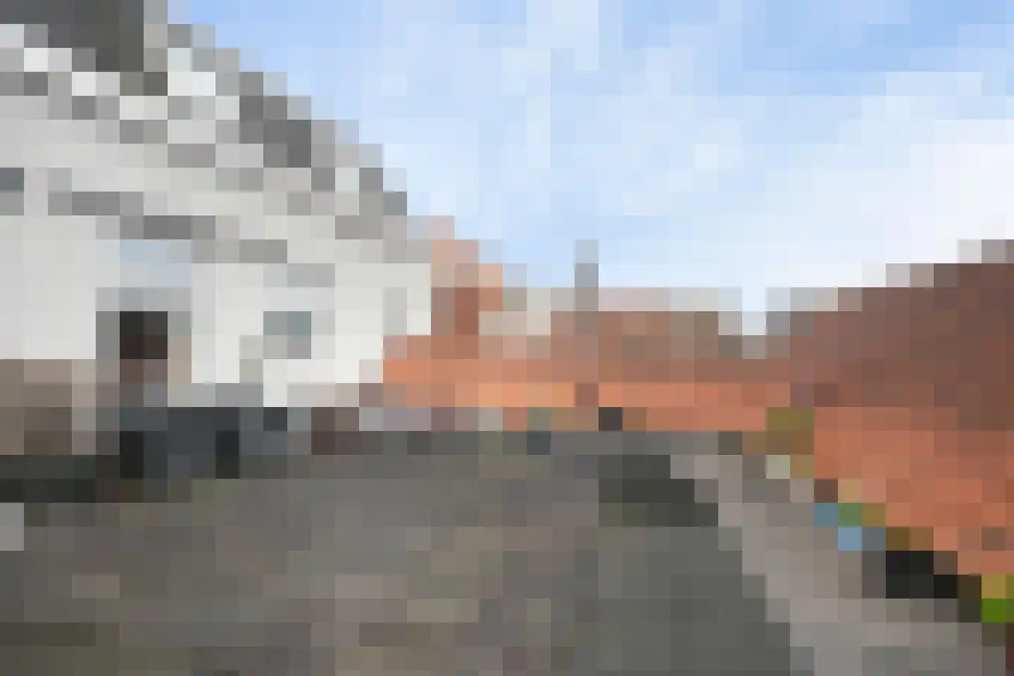Steenstraat 13 Hulst thumbnail 5