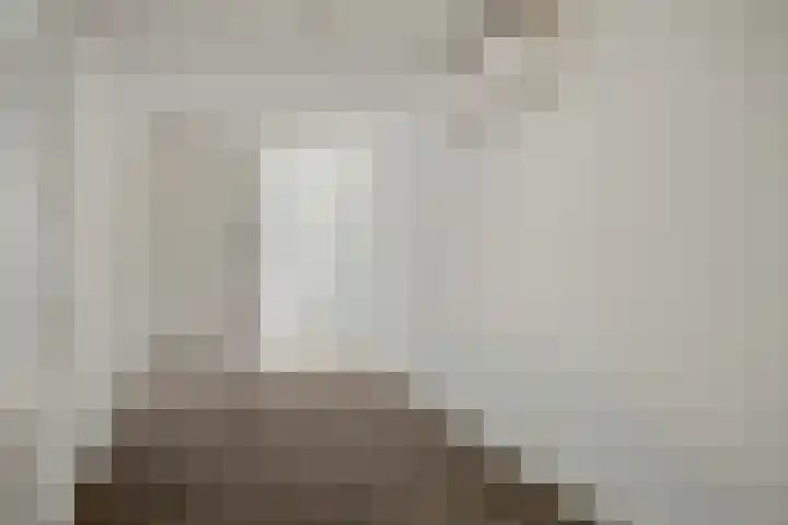 Steenstraat 22 Hulst thumbnail 55
