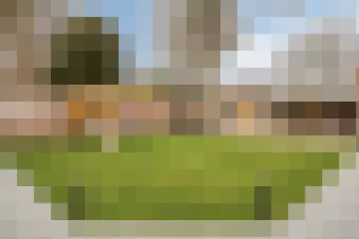 Steenstraat 22 Hulst thumbnail 75