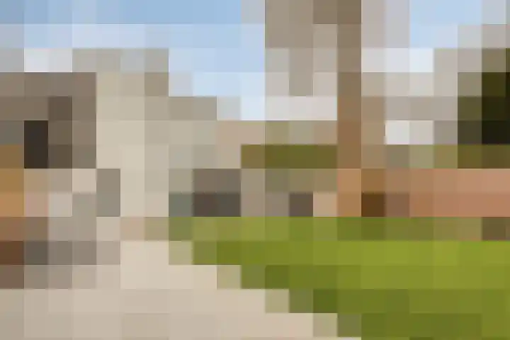 Steenstraat 22 Hulst thumbnail 76