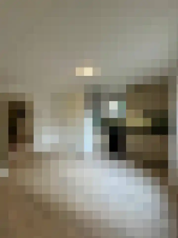 Steenstraat 24 a Boxmeer thumbnail 4