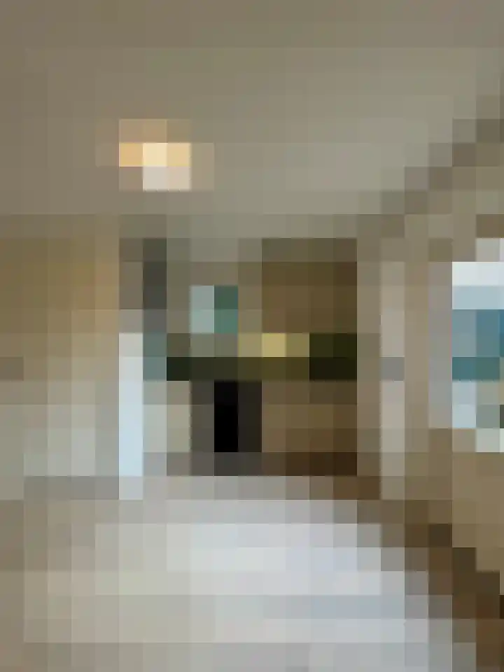 Steenstraat 24 a Boxmeer thumbnail 6