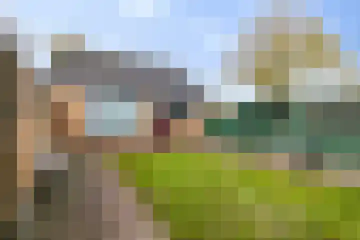 Steenstraat 26 Wolvega thumbnail 18